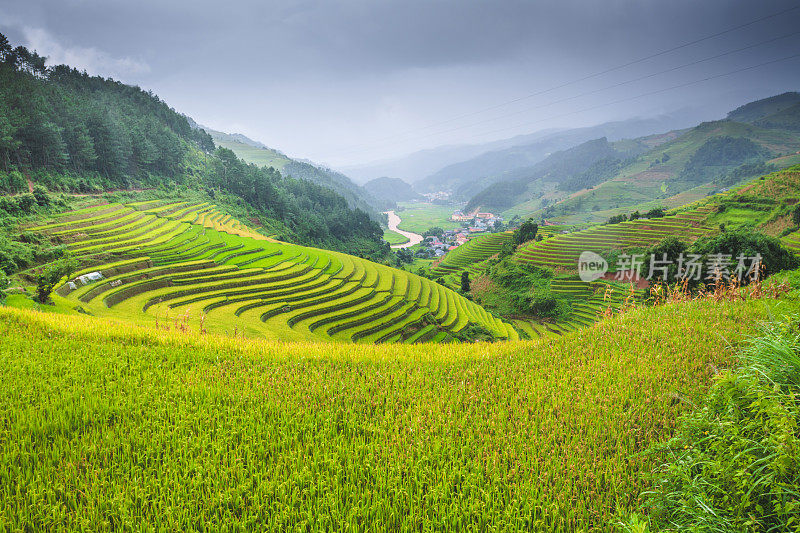 美丽的风景，绿色的稻田准备在越南西北部的梯田日落山在木仓寨，Yen Bai，越南